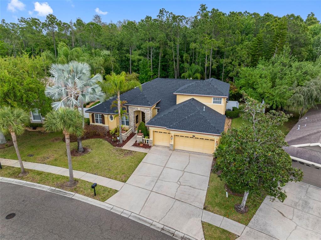 16750 IVY LAKE DRIVE
