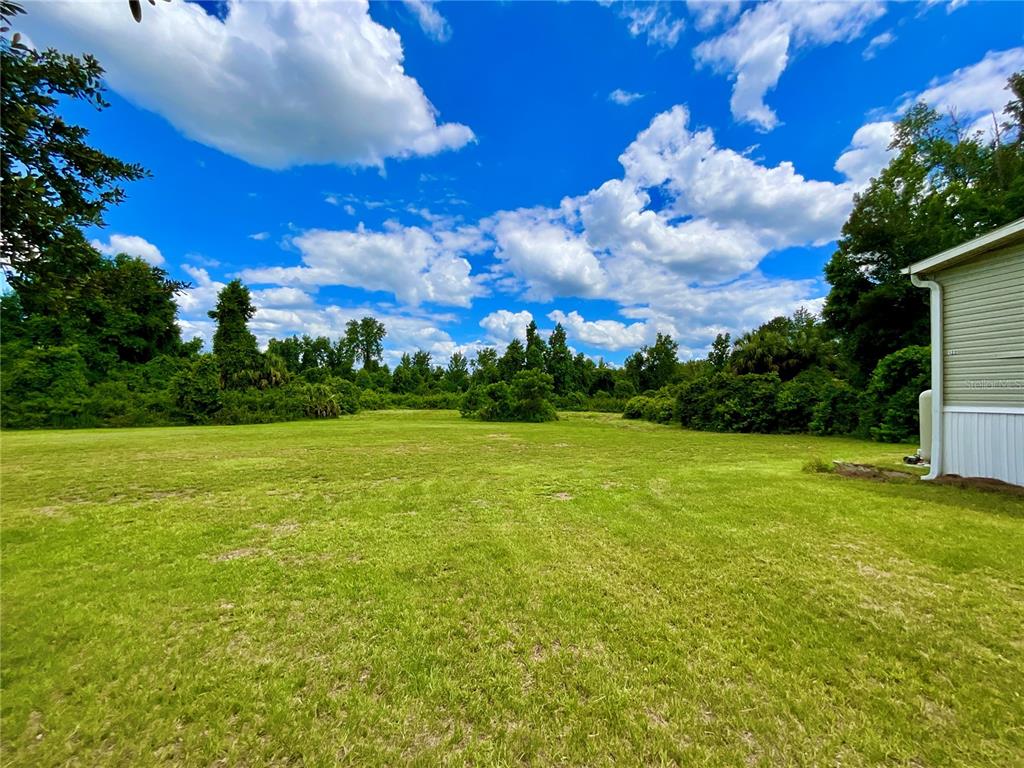 A grassy backyard extends toward a dense line of trees under a blue sky — 122 TANNER ROAD, FLORAHOME, FL