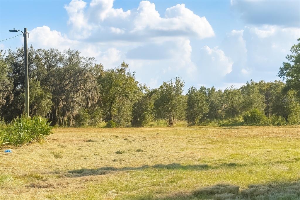 A large, grassy, open field bordered by a line of trees under a cloudy sky — 1205-1209 W ALEXANDER STREET, PLANT CITY, FL