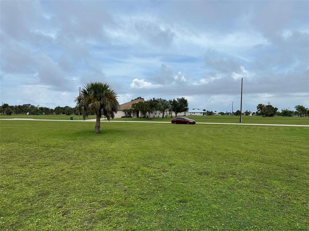 A large, grassy vacant lot features a single palm tree and a distant house — 24472 MANIZALES COURT, PUNTA GORDA, FL