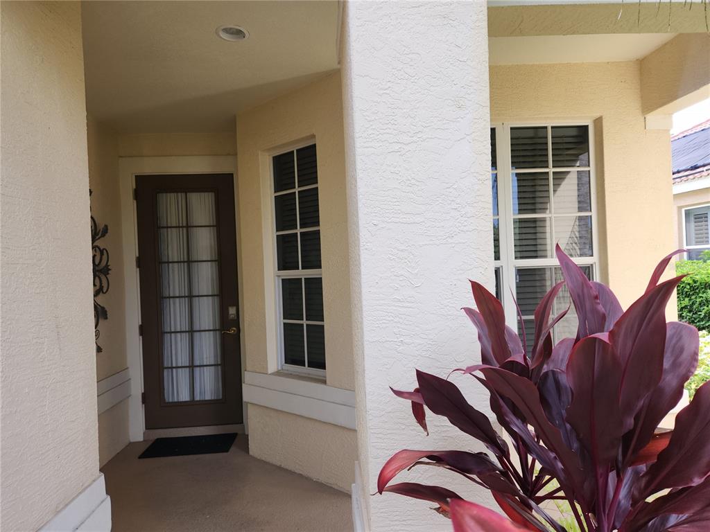 A covered entryway features a brown glass-paneled door, light-colored stucco walls, and a large plant — 6642 TAILFEATHER WAY, BRADENTON, FL