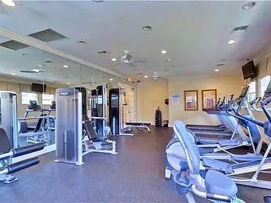A gym room features multiple exercise machines, a mirrored wall, and recessed ceiling lighting — 1169 EMERALD HILL WAY, VALRICO, FL