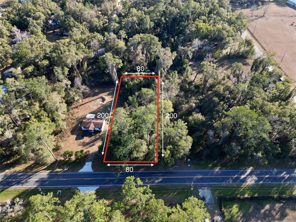 An aerial view shows a rectangular, wooded vacant lot outlined in red along a road — TBD W HWY 328, OCALA, FL