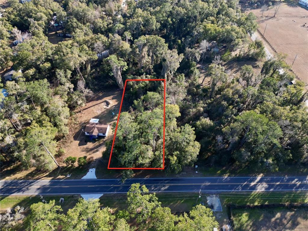 An aerial view shows a rectangular, wooded vacant lot outlined in red along a road — TBD W HWY 328, OCALA, FL