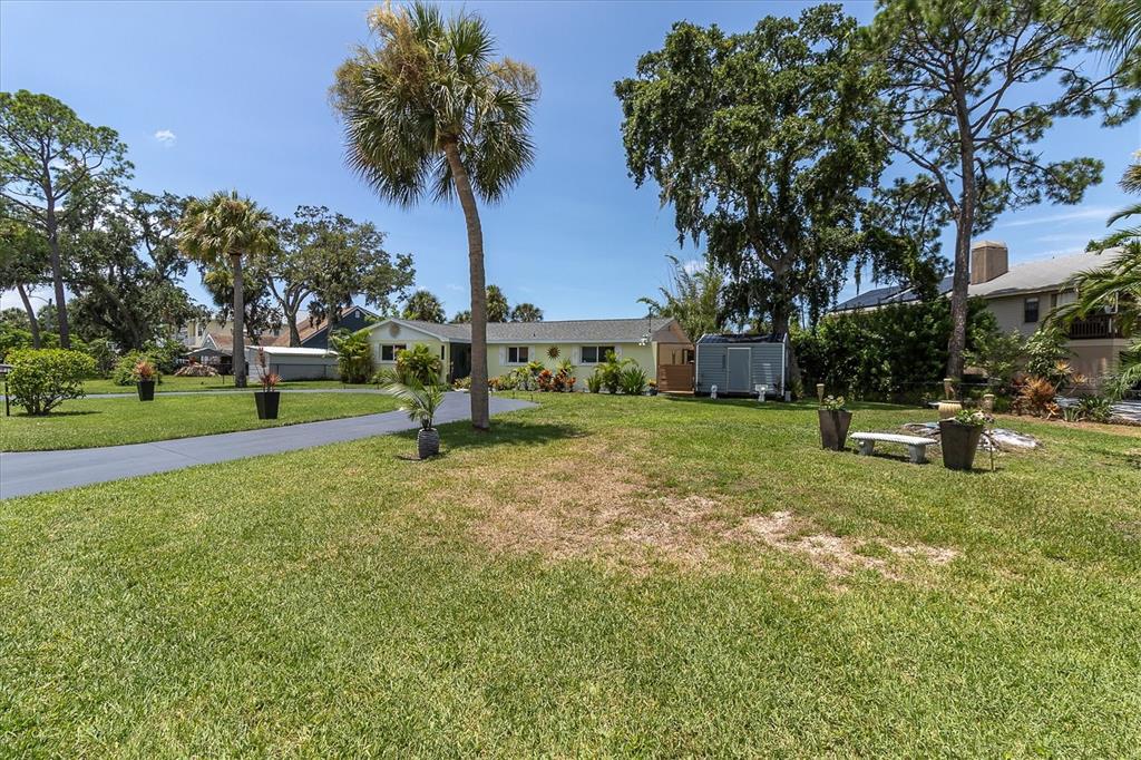 A single-story house with a driveway, palm trees, and a shed in a grassy yard — 7213 PENINSULAR DRIVE, NEW PORT RICHEY, FL