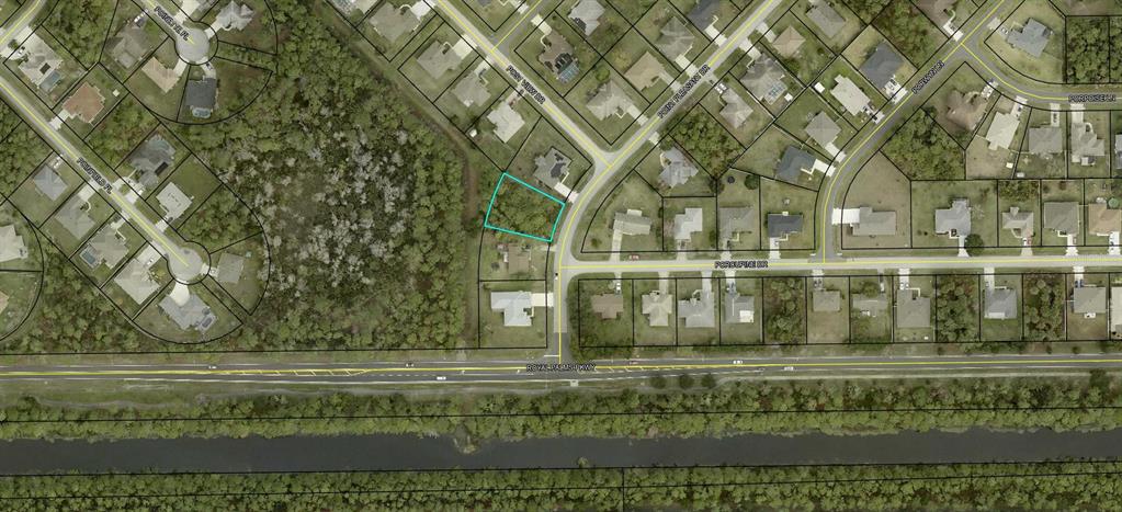 This is an aerial map showing a vacant residential lot outlined in blue — 188 POINT PLEASANT DRIVE, PALM COAST, FL