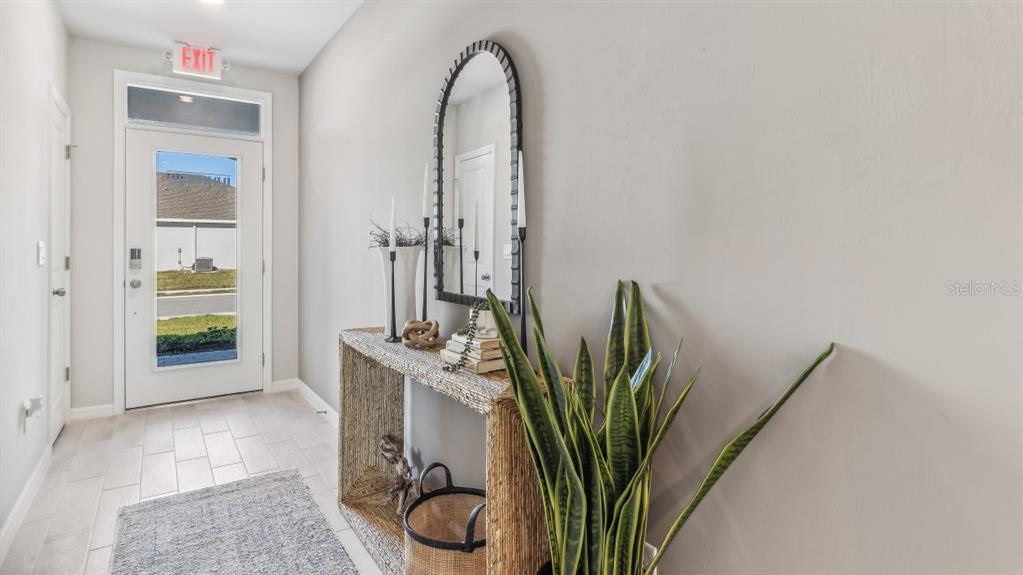 An entryway features a woven console table, a tall mirror, and a potted snake plant — 26227 CORAL LAKES DRIVE, PUNTA GORDA, FL