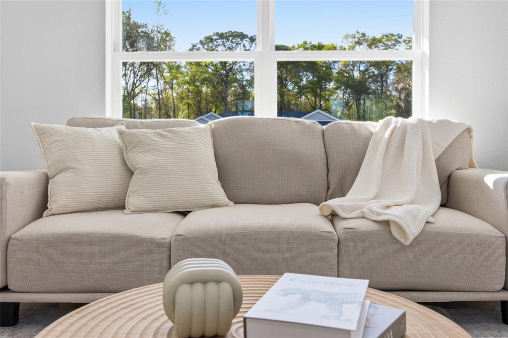 A beige sofa with throw pillows and a blanket sits before a window and table — 2116 W BEACH PLUM DRIVE, CITRUS SPRINGS, FL