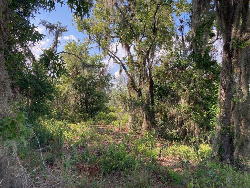0 3RD AVENUE, BABSON PARK, FL — photo 2 of 5