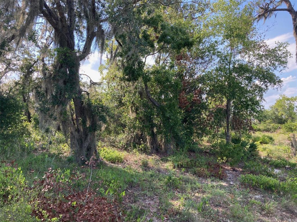 0 3RD AVENUE, BABSON PARK, FL — photo 3 of 5