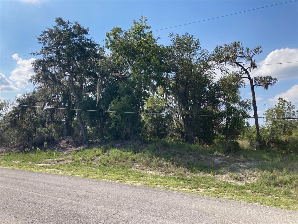 0 3RD AVENUE, BABSON PARK, FL — photo 4 of 5