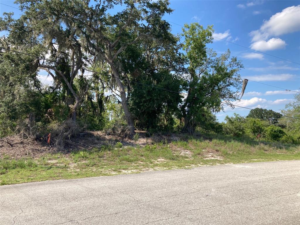 0 3RD AVENUE, BABSON PARK, FL — photo 5 of 5