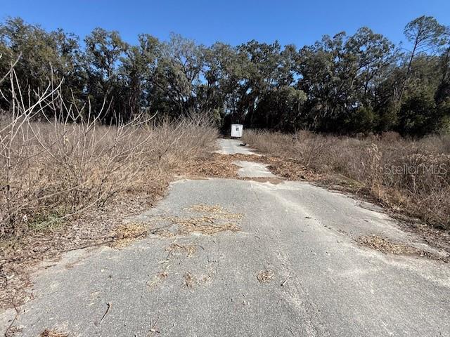 A paved road leads toward a small white structure surrounded by trees and brush — NE SEVENTEENTH AVENUE, TRENTON, FL