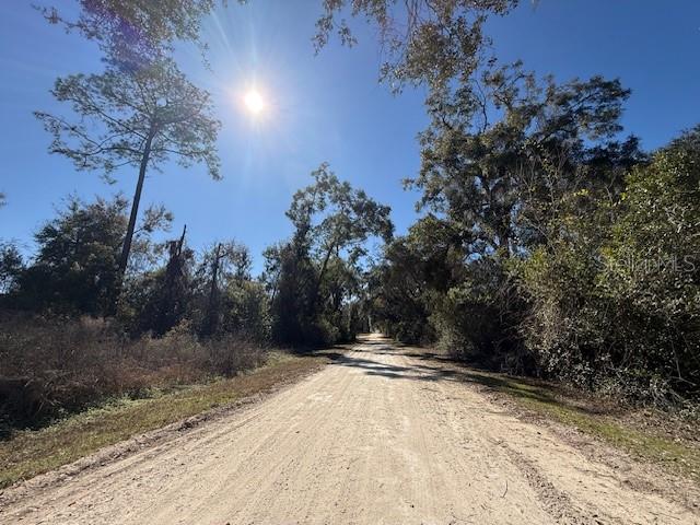A dirt road stretches through a wooded area under a bright sun — NE SEVENTEENTH AVENUE, TRENTON, FL