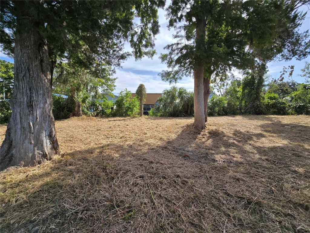 A cleared, grassy lot features two large trees in the foreground and dense foliage behind — 71 SE 893 AVENUE, OLD TOWN, FL