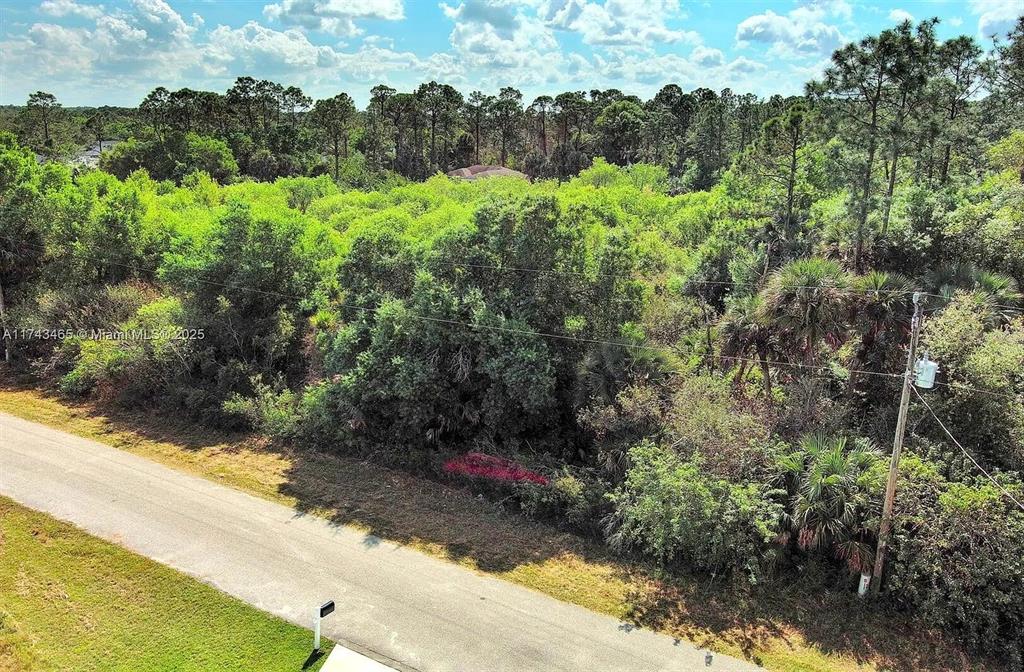 An aerial view shows a paved road bordering a dense, wooded lot with mature trees — 3201 49TH STREET W, LEHIGH ACRES, FL