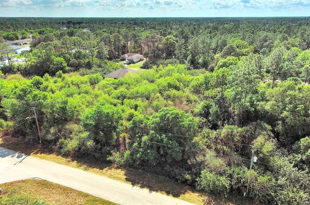 An aerial view shows a vacant, heavily wooded lot next to a paved road — 3201 49TH STREET W, LEHIGH ACRES, FL