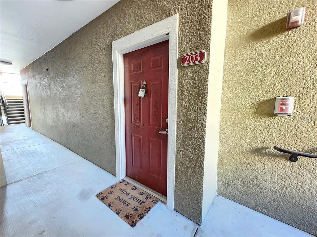 A red apartment door labeled 203 features a paw-print doormat on a concrete walkway — 8137 CLAIRE ANN DRIVE UNIT 203, ORLANDO, FL
