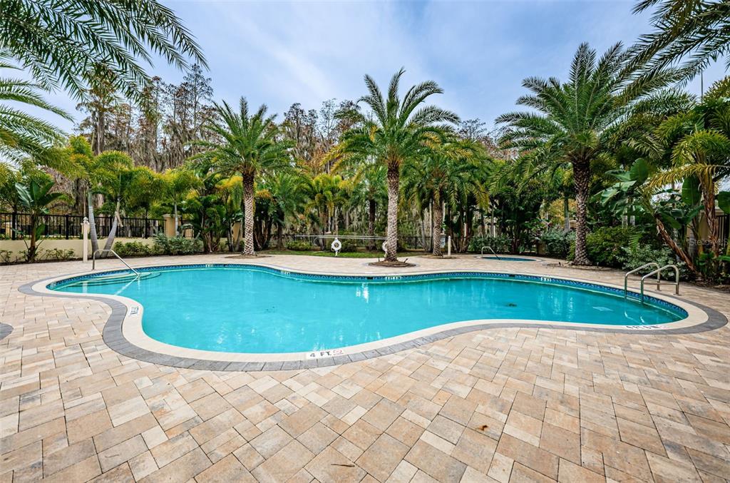 A kidney-shaped swimming pool is surrounded by a paver deck and lush palm trees — 726 GRAND CYPRESS LANE, TARPON SPRINGS, FL