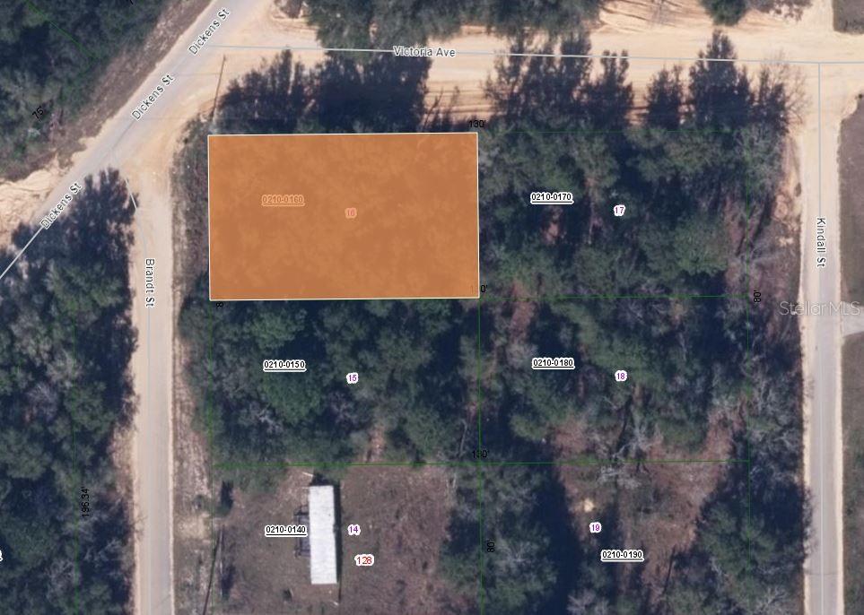 This is an aerial map showing several rectangular land parcels outlined in green — 130 BRANDT STREET, INTERLACHEN, FL