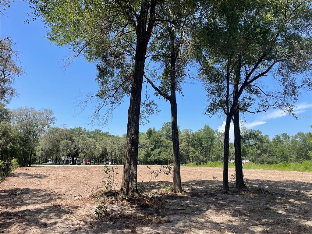A cleared, sandy lot features several mature trees under a clear blue sky — TBD SW 98TH STREET, DUNNELLON, FL