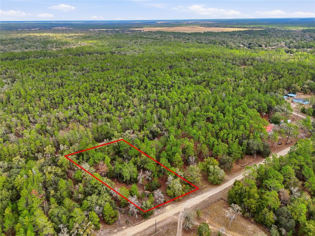 An aerial view shows a rectangular plot of wooded land outlined in red — 00 NE 111TH LANE, BRONSON, FL