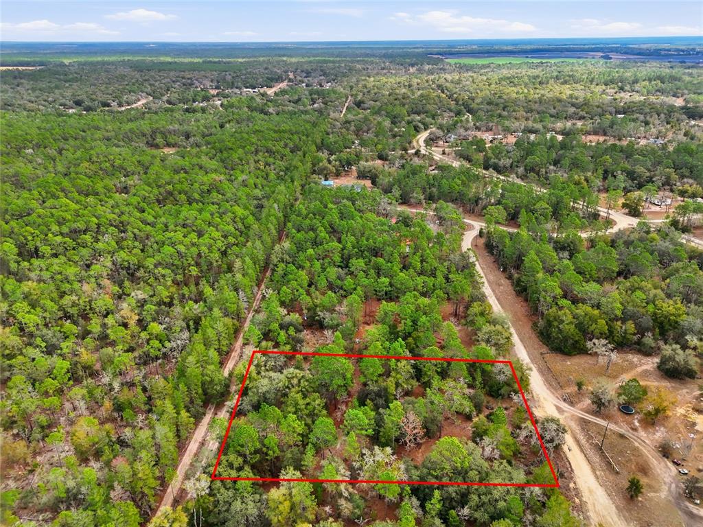 An aerial view shows a rectangular plot of land outlined in red amidst wooded terrain — 00 NE 111TH LANE, BRONSON, FL