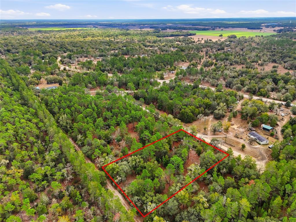 An aerial view shows a rectangular plot of land outlined in red amidst a forest — 00 NE 111TH LANE, BRONSON, FL