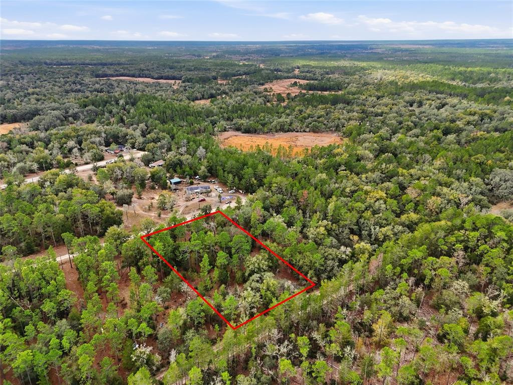 An aerial view shows a rectangular plot of land outlined in red amidst a forest — 00 NE 111TH LANE, BRONSON, FL
