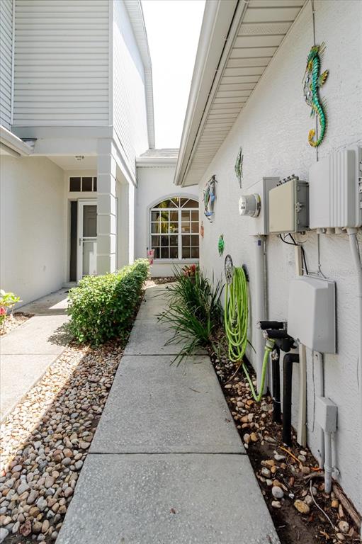A concrete walkway leads toward a house entrance past a green hose and landscaping — 2976 FIELDBROOK PLACE, CLEARWATER, FL
