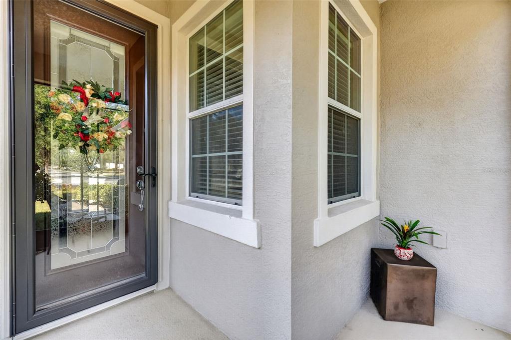 A front entryway features a glass-paneled door, two windows, and a small potted plant — 9137 SW 70TH LOOP, OCALA, FL