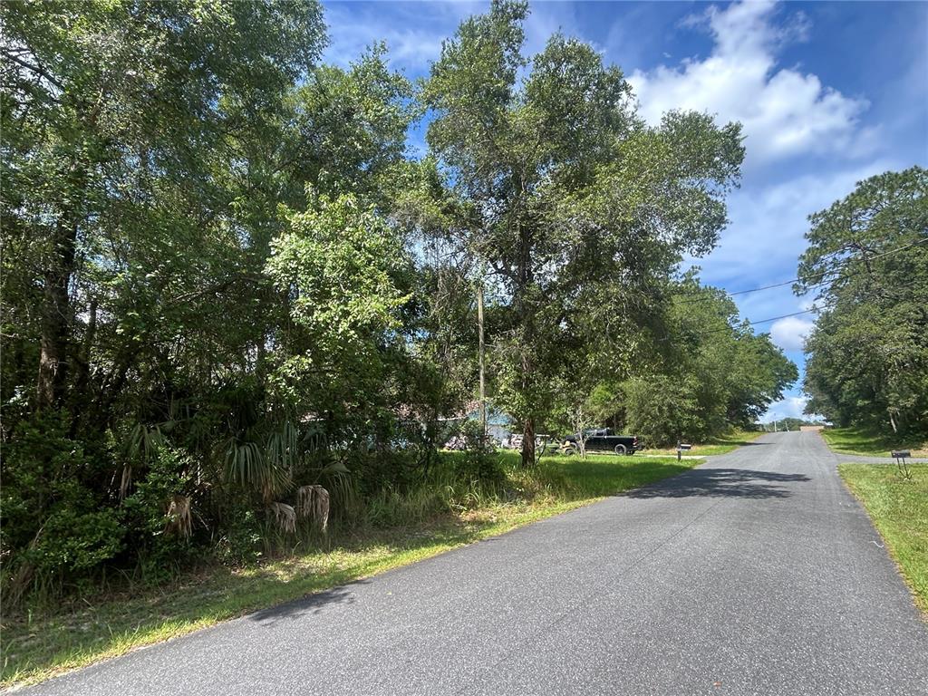 A paved road leads past a wooded lot with a parked truck in the background — 3118 E DEAL STREET, INVERNESS, FL