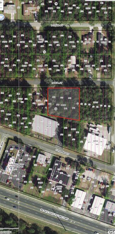 This aerial map shows a vacant, rectangular parcel of land outlined in red — 3118 E DEAL STREET, INVERNESS, FL