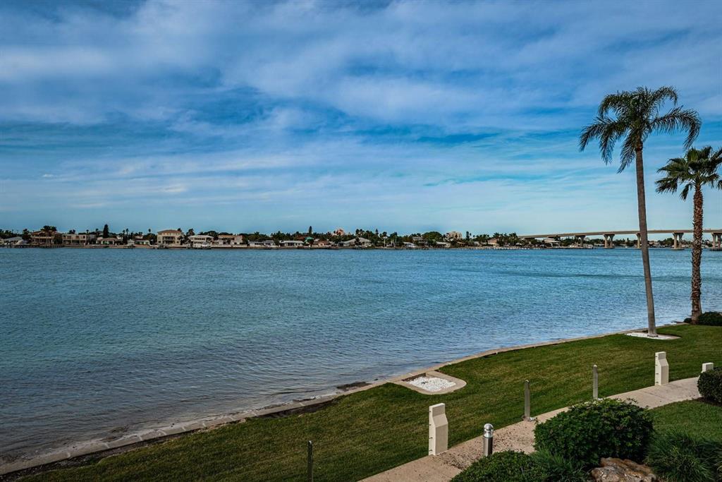 A waterfront view features a grassy lawn, palm trees, and a bridge in the distance — 6105 BAHIA DEL MAR CIRCLE UNIT 287, ST PETERSBURG, FL