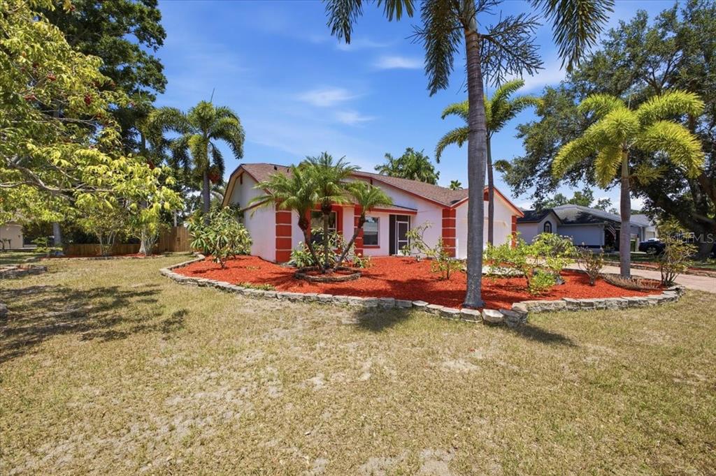 A single-story house with a red-mulched front yard, palm trees, and a stone border — 720 50TH STREET E, BRADENTON, FL