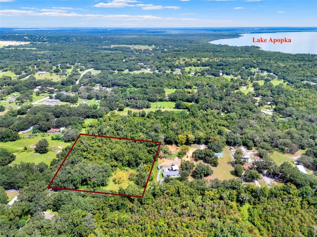 An aerial view shows a wooded lot outlined in red near Lake Apopka — 15325 TROUSDALE STREET, CLERMONT, FL
