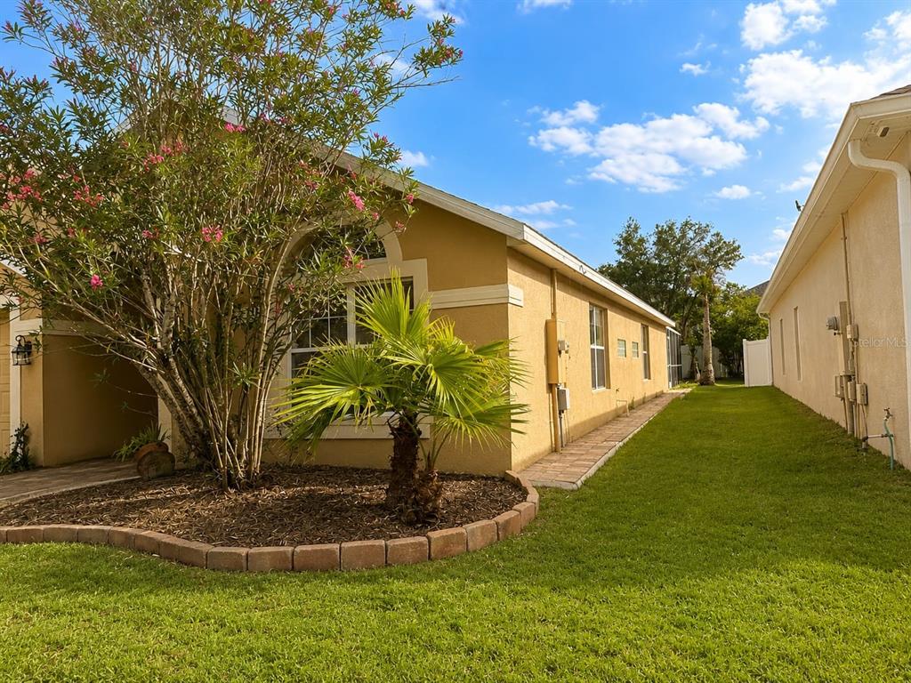 The exterior of a tan stucco house features a small palm tree and landscaping — 9006 VERONA SOUND WAY, ORLANDO, FL