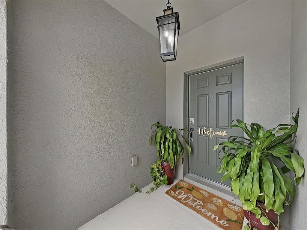 A gray front door with a welcome mat and potted plants sits under a hanging lantern — 11121 GREEN HARVEST DRIVE, RIVERVIEW, FL