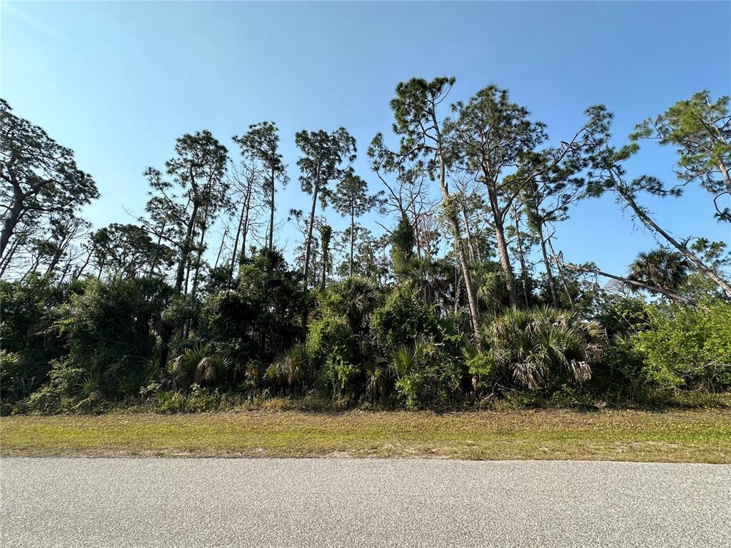 A paved road runs in front of a dense, wooded lot with tall pine trees — 18038 YORK AVENUE, PORT CHARLOTTE, FL