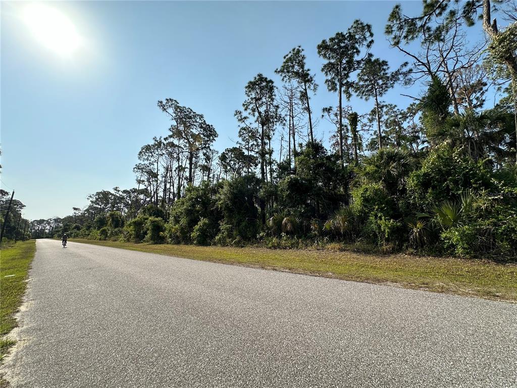 A paved road runs alongside a wooded area with tall pine trees under a sunny sky — 18038 YORK AVENUE, PORT CHARLOTTE, FL