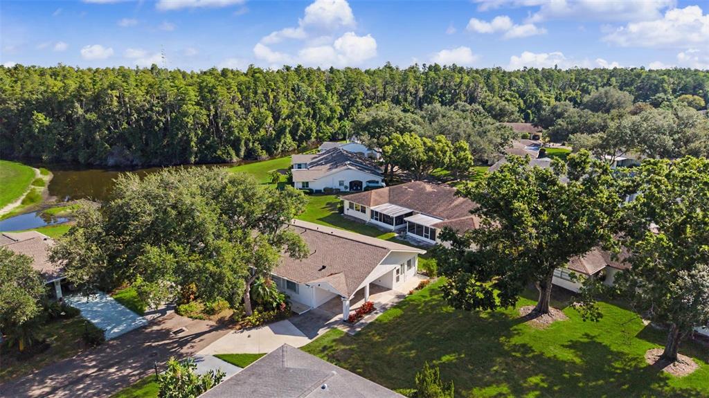 An aerial view of several single-story houses surrounded by trees and a small pond — 1905 HANSON COURT UNIT 305, SUN CITY CENTER, FL