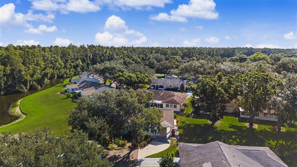 An aerial view shows several suburban houses surrounded by trees and a small pond — 1905 HANSON COURT UNIT 305, SUN CITY CENTER, FL