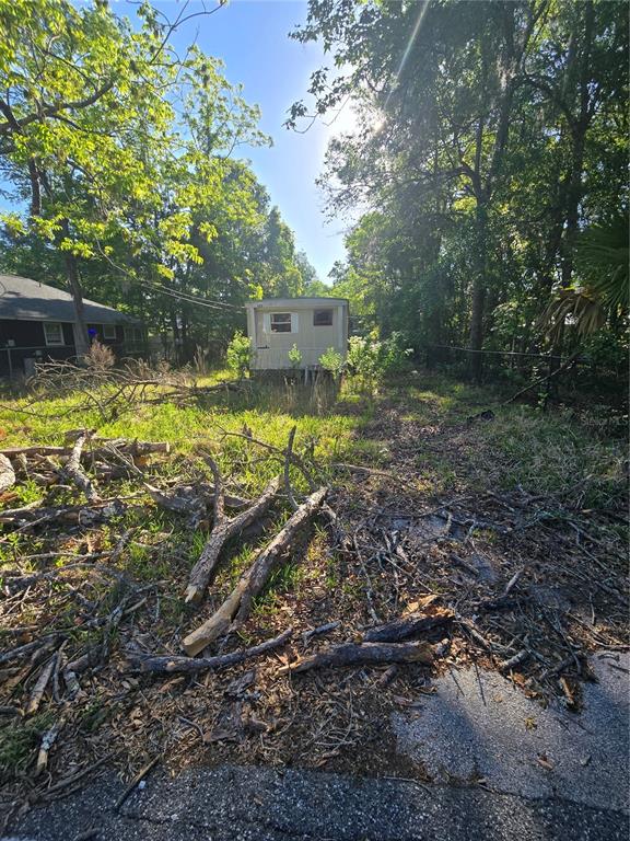 A small, weathered shed sits in a grassy, debris-filled yard surrounded by trees — 1212 PINE STREET, STARKE, FL