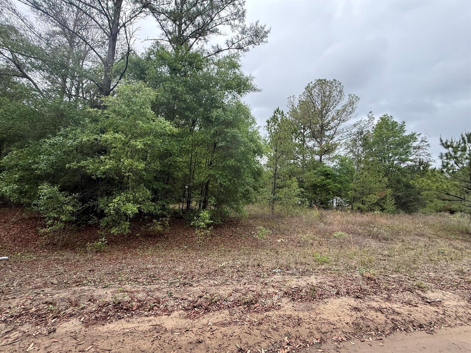 A vacant, wooded lot with a dirt foreground under a cloudy sky — Tbd Maltas Avenue, FL 32148, FL