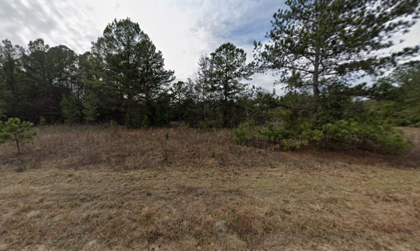 A grassy, undeveloped lot features a line of mature pine trees against a cloudy sky — Tbd Maltas Avenue, FL 32148, FL