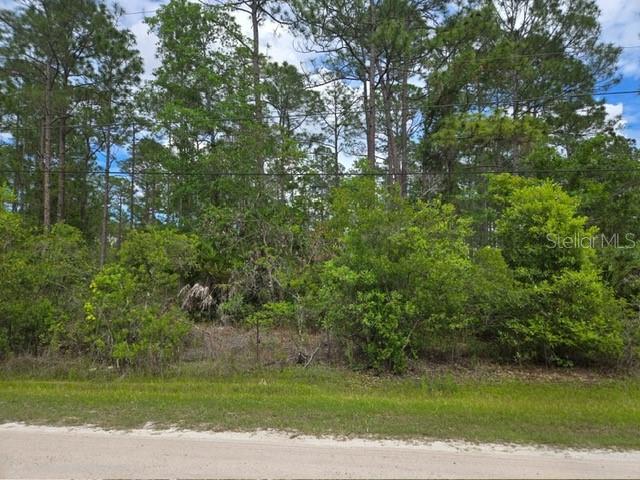A wooded, undeveloped lot with tall pine trees and dense underbrush borders a dirt road — 1747 CANDLEBERRY STREET, BUNNELL, FL