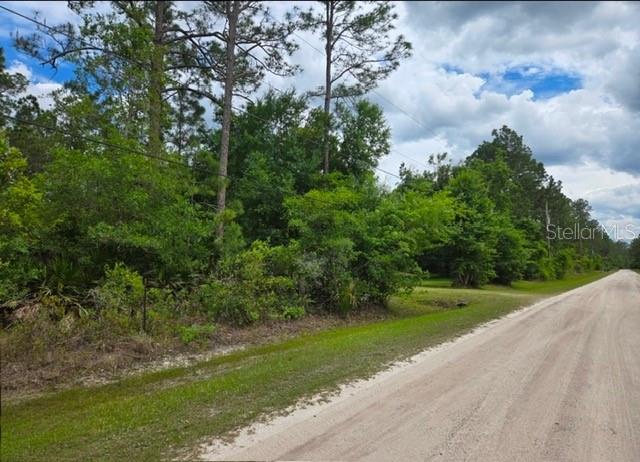 A dirt road runs alongside a wooded lot with tall pine trees and dense vegetation — 1747 CANDLEBERRY STREET, BUNNELL, FL