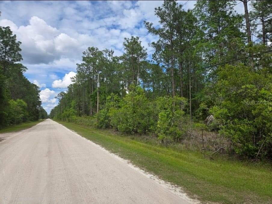A dirt road runs alongside a wooded lot with tall pine trees under a cloudy sky — 1747 CANDLEBERRY STREET, BUNNELL, FL