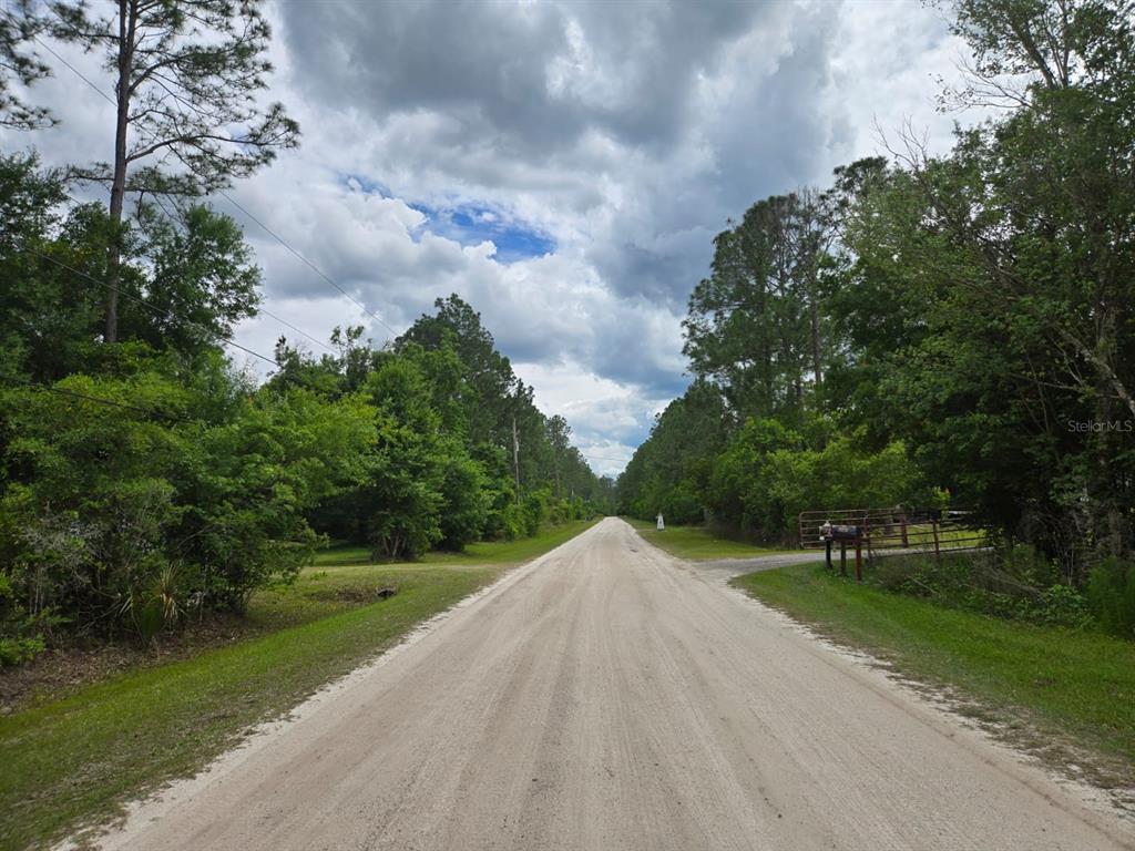 A dirt road stretches through a wooded area under a cloudy sky — 1747 CANDLEBERRY STREET, BUNNELL, FL