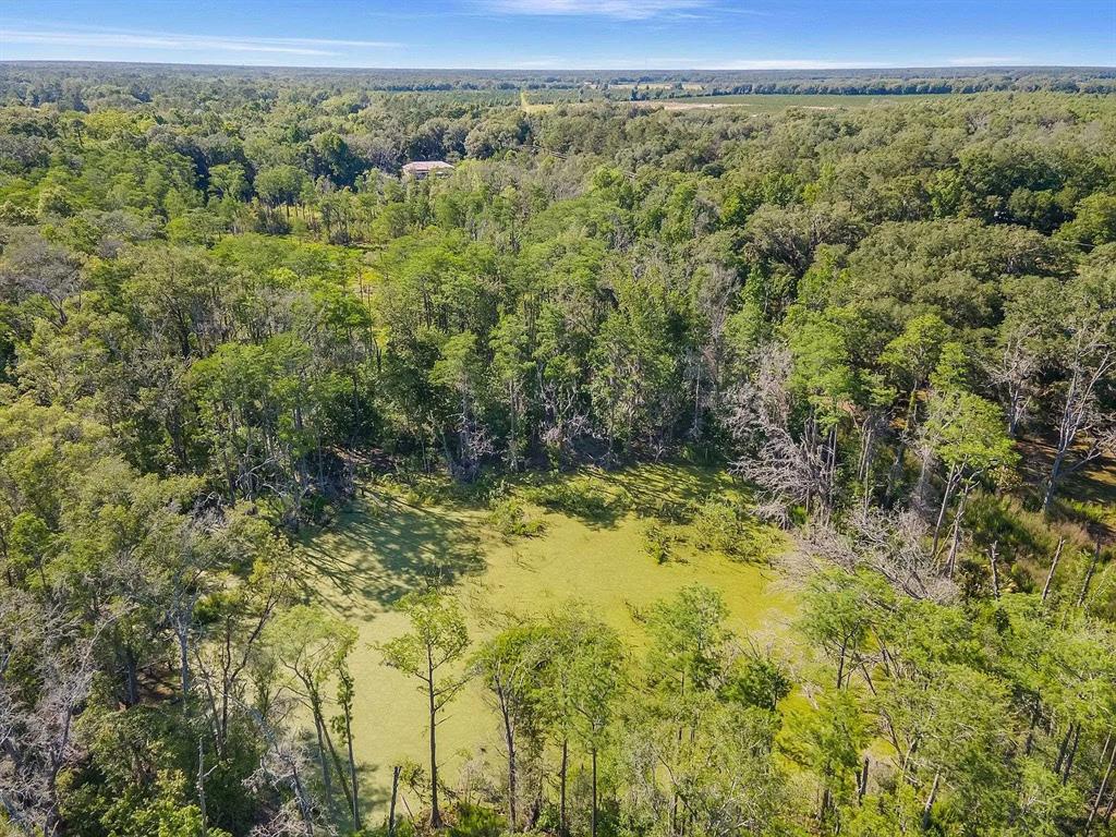 2000 MIXON ROAD, PERRY, FL — photo 3 of 4